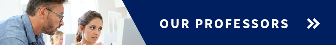 professors-banner_banner.jpg