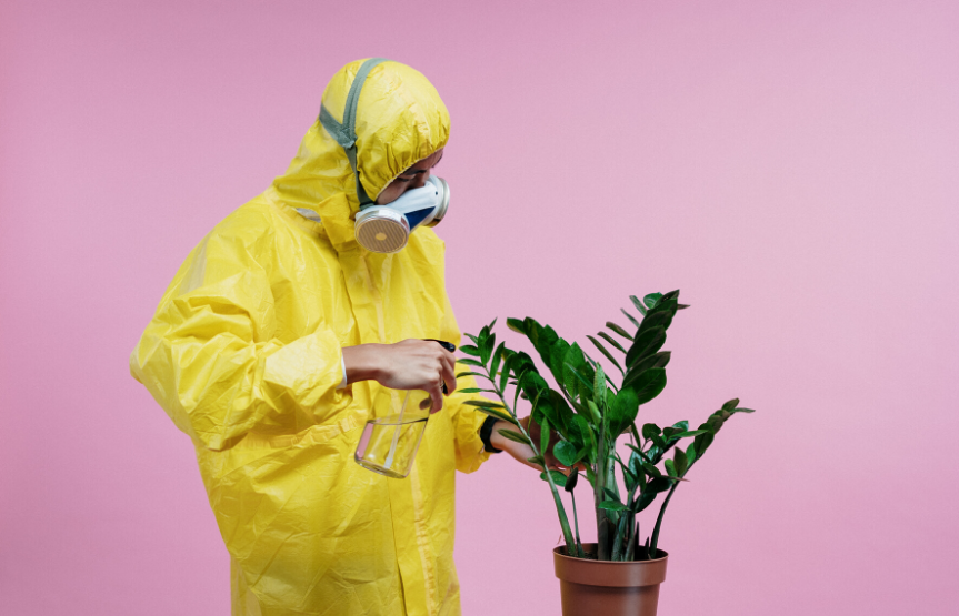 H προέλευση του κορονοϊού και η καταστροφή του φυσικού περιβάλλοντος 