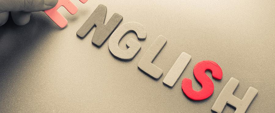 Employability and Higher Education for Teachers of English Language