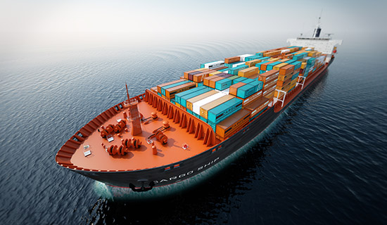 Bachelor in Business with Shipping