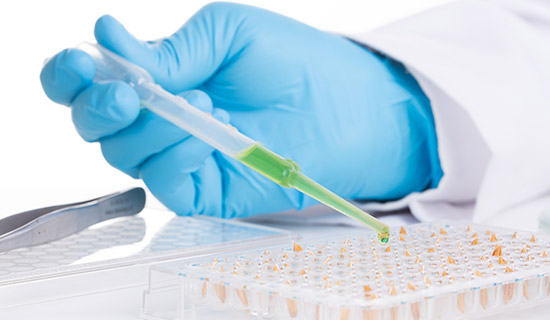 Bachelor in Biomedical Sciences